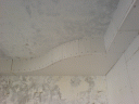 gp1.gif